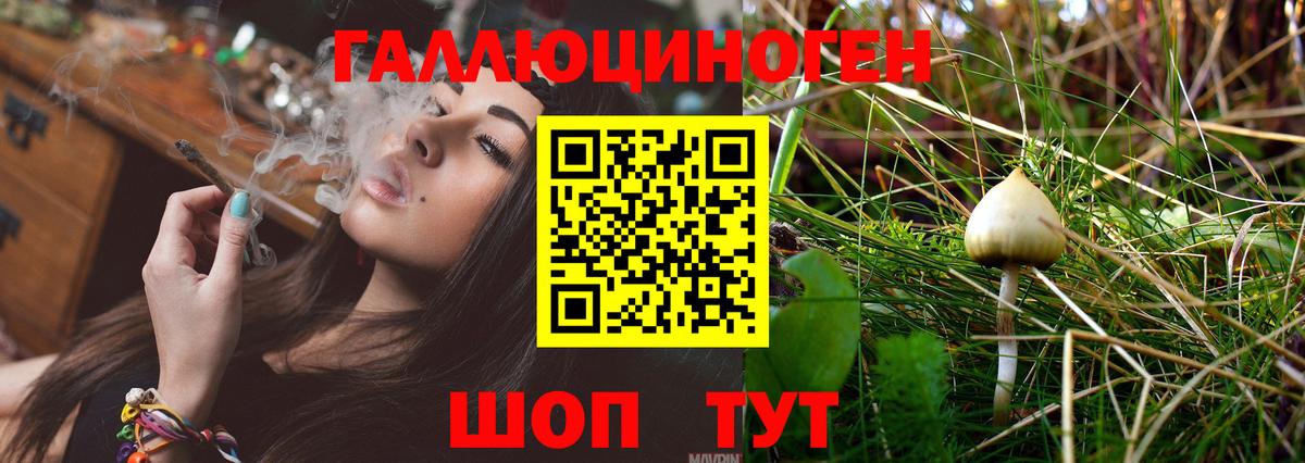 дарнет шоп  Вход с VPN  Кулебаки  Псилоцибиновые грибы Psilocybe 